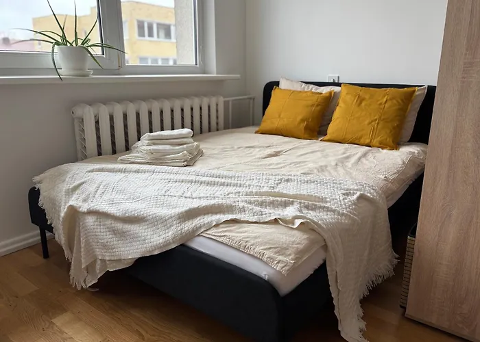 Maslow - Self Check In * Vilna